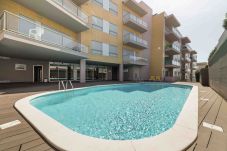 Alojamento Férias piscina espreguiçadeiras espaço exterior jardim sch