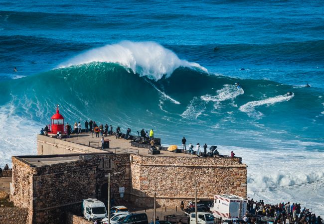 Nazaré, Férias, praia, apartamento, piscina, família, SCH