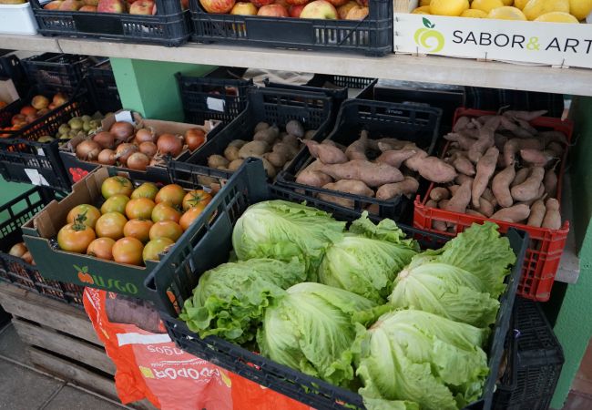 Villa in Alfeizerão - Casa da Aldeia - BY SCH Villa in Alfeizerão - Casa da Aldeia - BY SCH