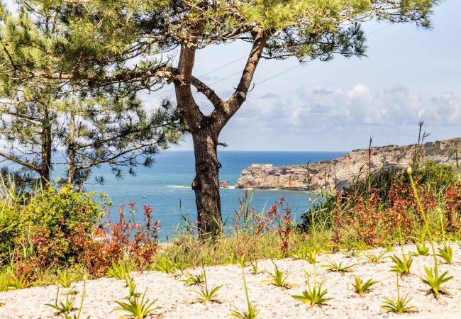 Ferienwohnung in Nazaré - Sunset Beach Apartment - BY SCH  Ferienwohnung in Nazaré - Sunset Beach Apartment - BY SCH