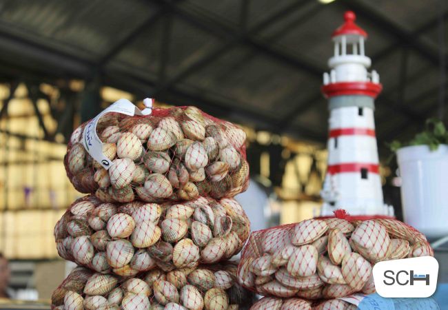 Villa in Nazaré - Serene View - BY SCH  Villa in Nazaré - Serene View - BY SCH