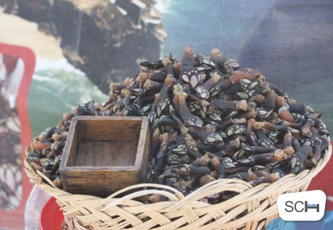 Apartment in Nazaré - Muralha B - T2 Holiday Apartment in Nazaré By SCH Apartment in Nazaré - Muralha B - T2 Holiday Apartment in Nazaré By SCH