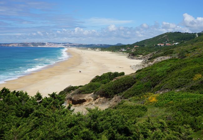 Villa in Famalicão - Casa Berlenga - Holiday Villa with Private Pool & Ocean views By SCH Villa in Famalicão - Casa Berlenga - Holiday Villa with Private Pool & Ocean views By SCH